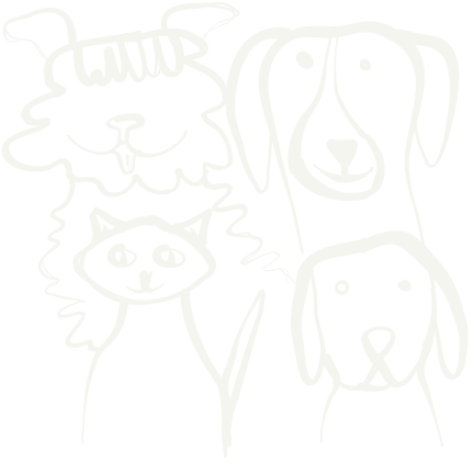 Illustrated dogs and cat line drawings