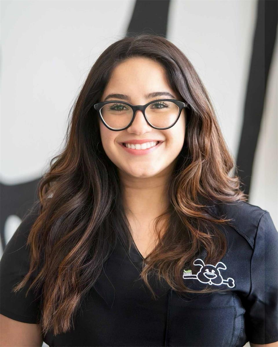 Bianca Alfonso