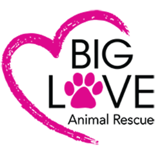 Big Love Animal Rescue logo