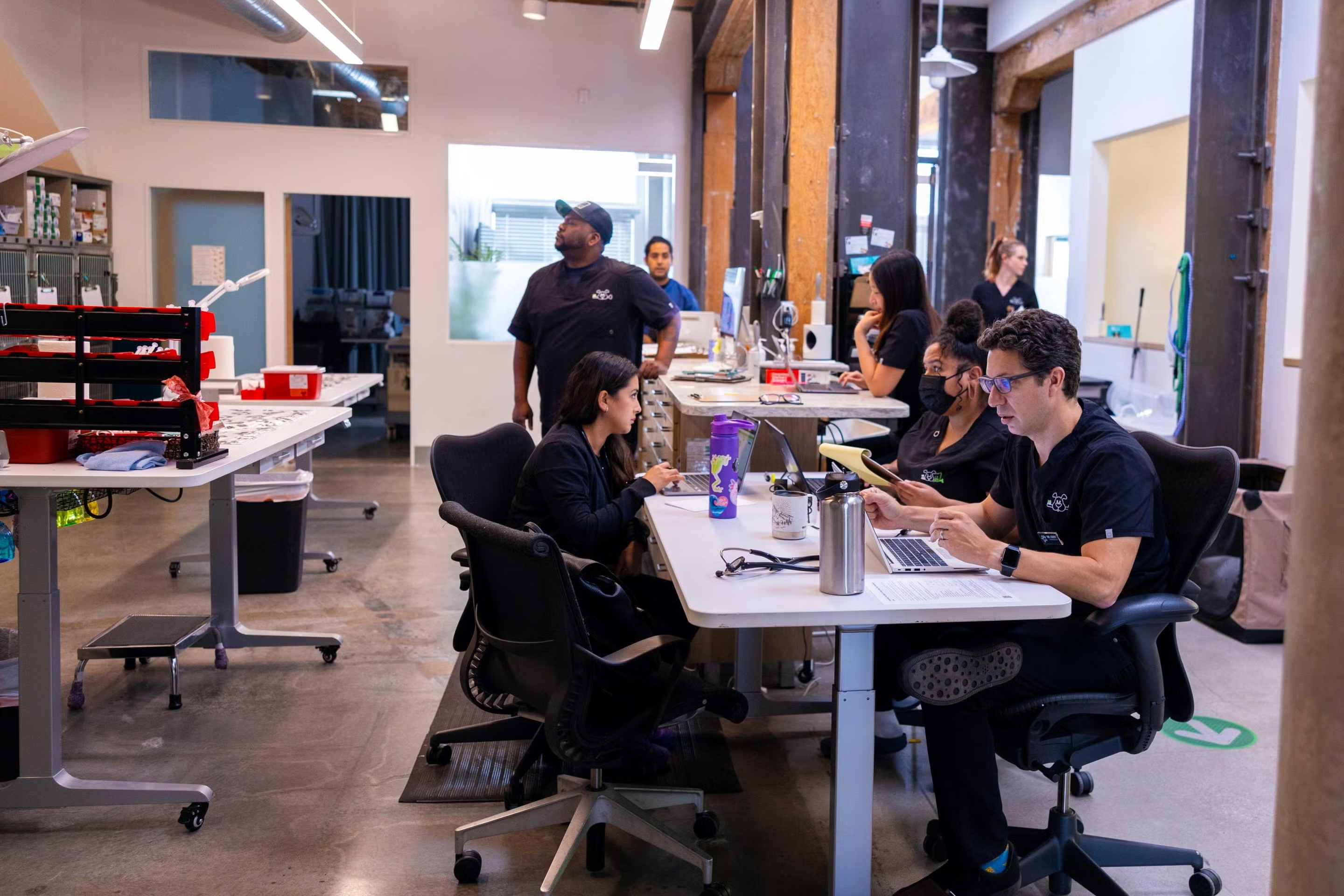 Veterinary staff collaborating at workstations in a modern clinic workspace, representing career opportunities in Sherman Oaks