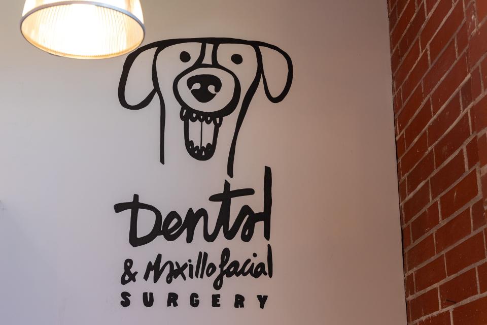 Veterinary clinic wall mural featuring a dog illustration and dental and maxillofacial surgery signage in Sherman Oaks