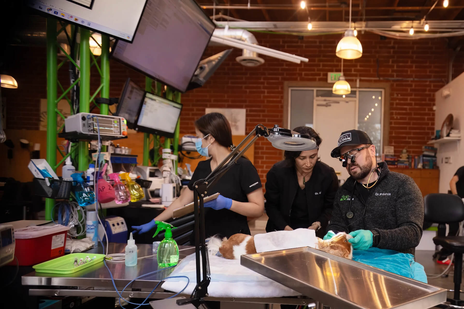 Greendog veterinary center