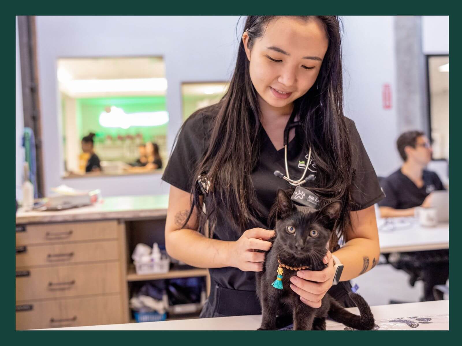 Kitten Vet
