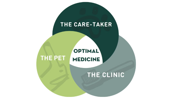 Venn diagram showing The Care-Taker, The Pet, and The Clinic converging on Optimal Medicine, representing our veterinary careers in Sherman Oaks
