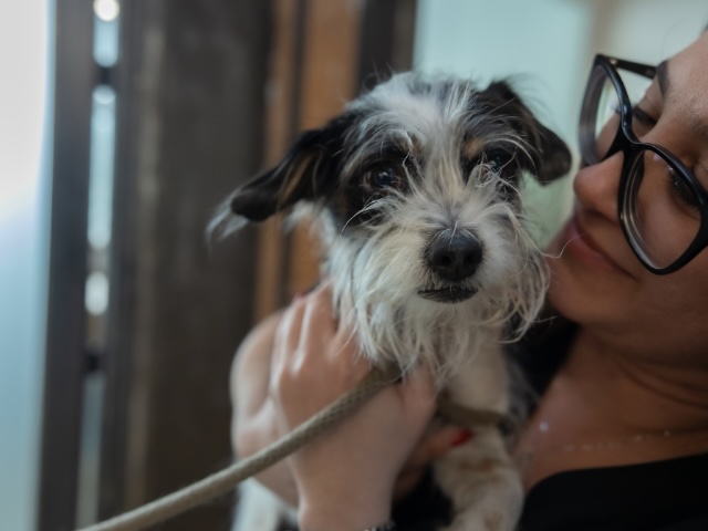 Pet owner tenderly holding a small senior dog during a senior care veterinary appointment in Sherman Oaks