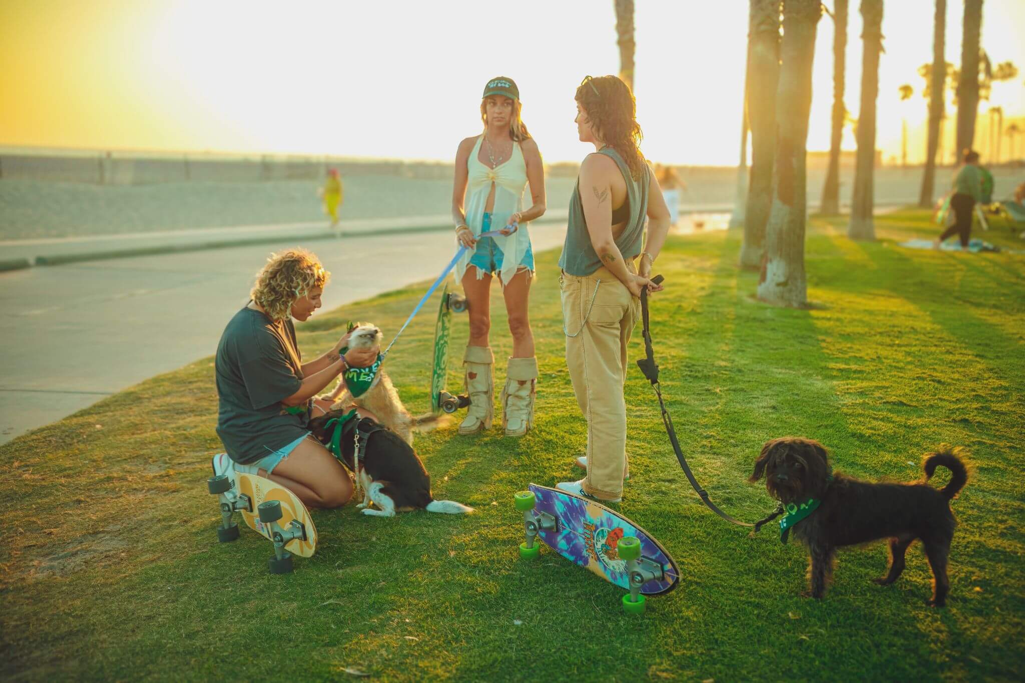 Pet-friendly beachfront in Sherman Oaks, CA