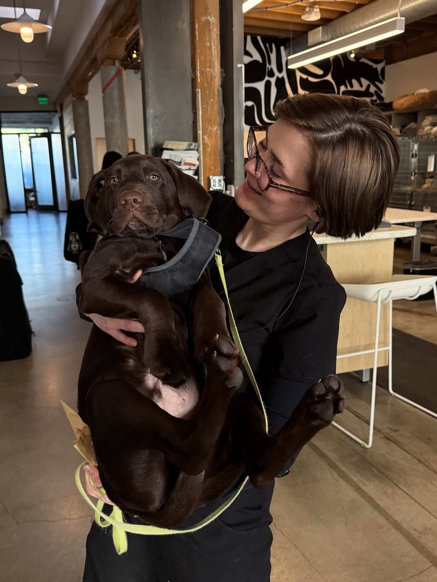Veterinary technician holding a chocolate Lab puppy enrolled in dental wellness plans in Sherman Oaks