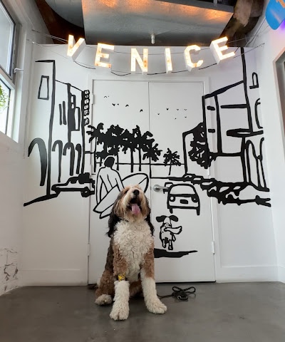 venice location image