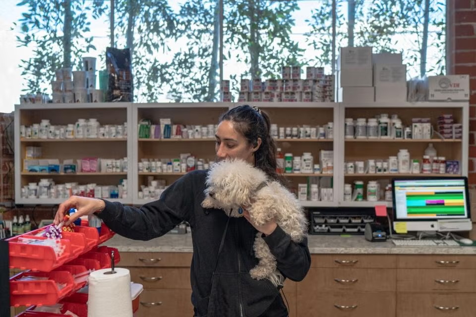 Veterinary staff member holding a fluffy white dog while accessing medications in a fully stocked pharmacy, representing heartworm testing in Sherman Oaks