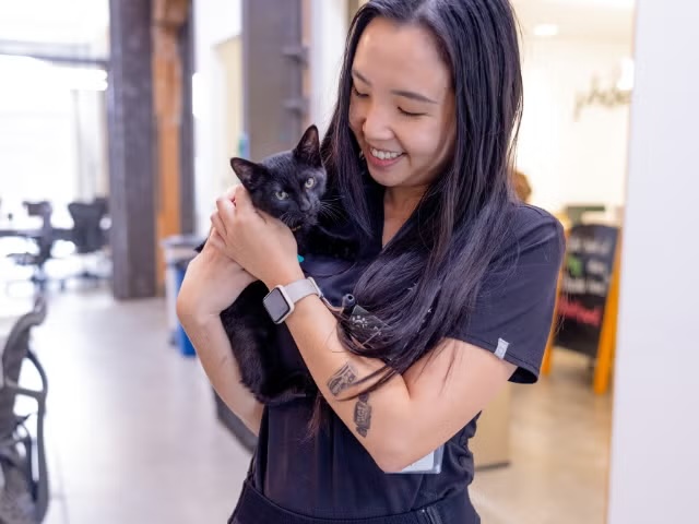 Smiling veterinary technician cradling a black cat, representing cat soft tissue surgery services in Sherman Oaks