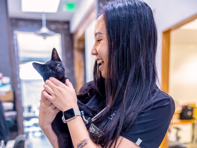 Smiling veterinary technician holding a black cat, representing cat radiology and advanced imaging services in Sherman Oaks