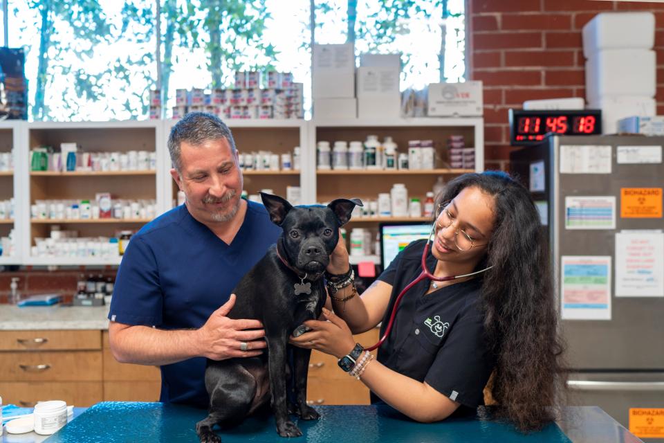 Veterinarian and vet tech smiling while examining a black dog during a preventative care appointment in Sherman Oaks