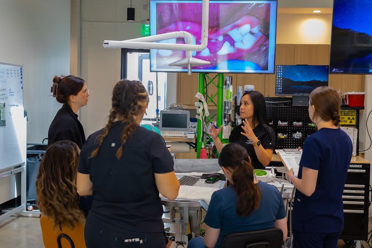 Veterinary instructor leading a dental externship training session with staff gathered around a dental suite in Sherman Oaks