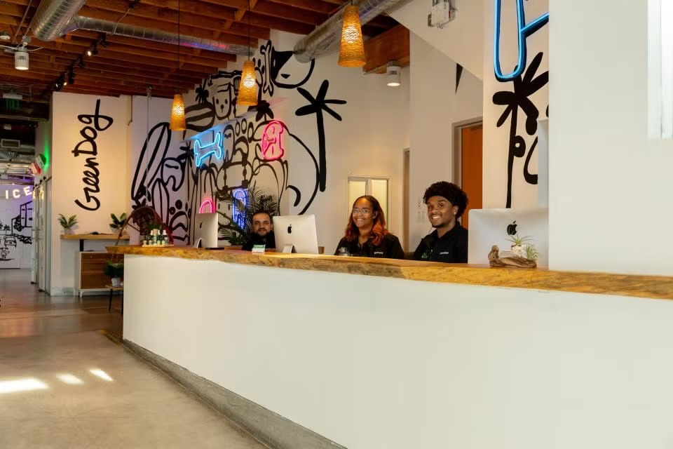 Friendly veterinary reception staff at the front desk of a modern clinic, representing dog and cat urgent care services in Sherman Oaks