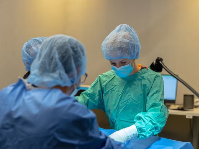 Two veterinary surgeons in full surgical attire performing a soft tissue surgery procedure in Sherman Oaks