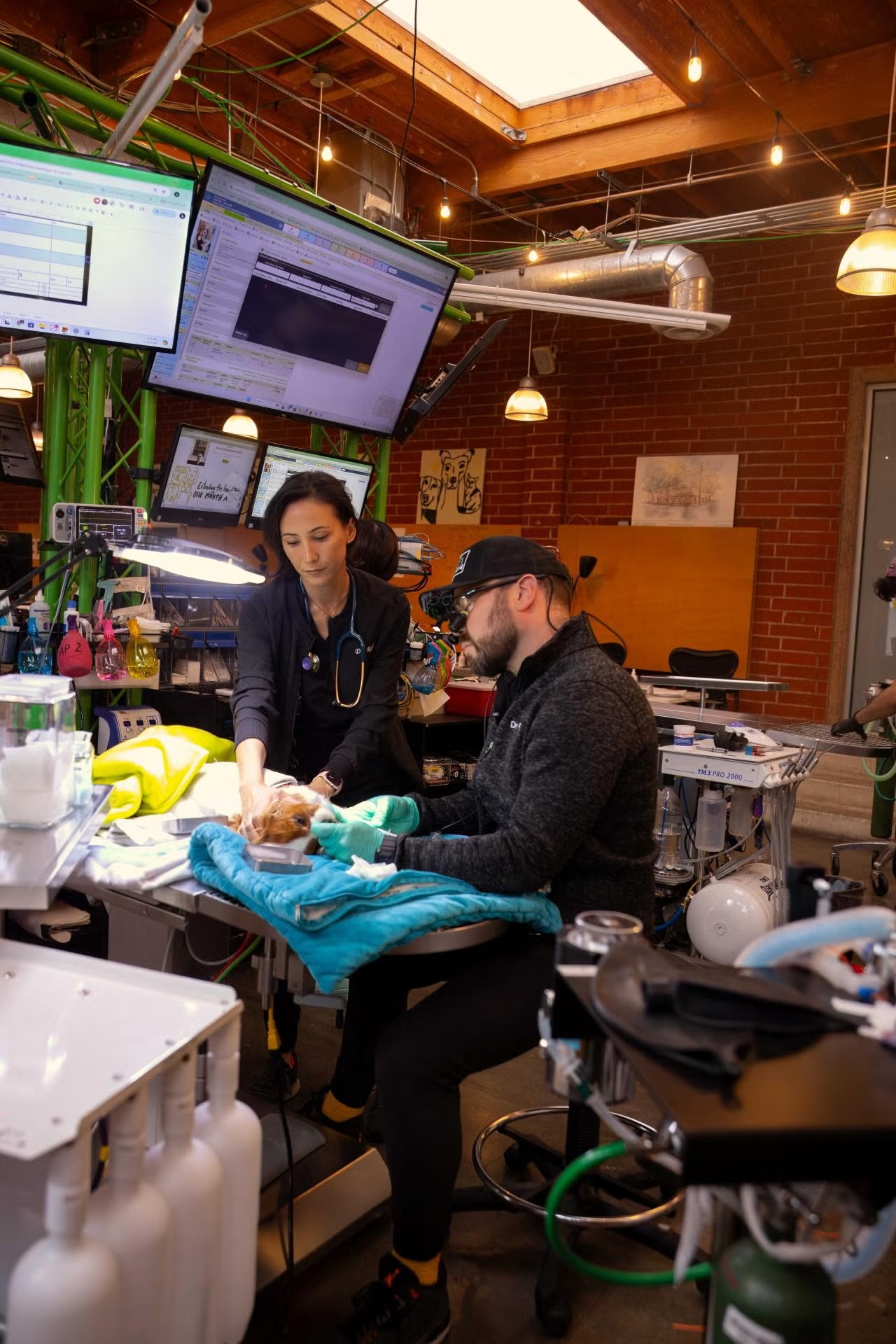 Veterinary team performing a specialized procedure on a patient surrounded by advanced medical equipment, representing specialist referral services in Sherman Oaks