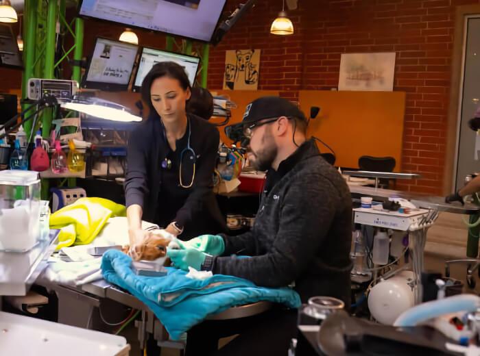 Exploring Life & Business with Dr Ren Garcia of Green Dog Dental & Veterinary Center