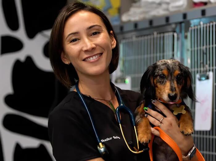 LA multi-site practice redefining the veterinary experience with ezyVet