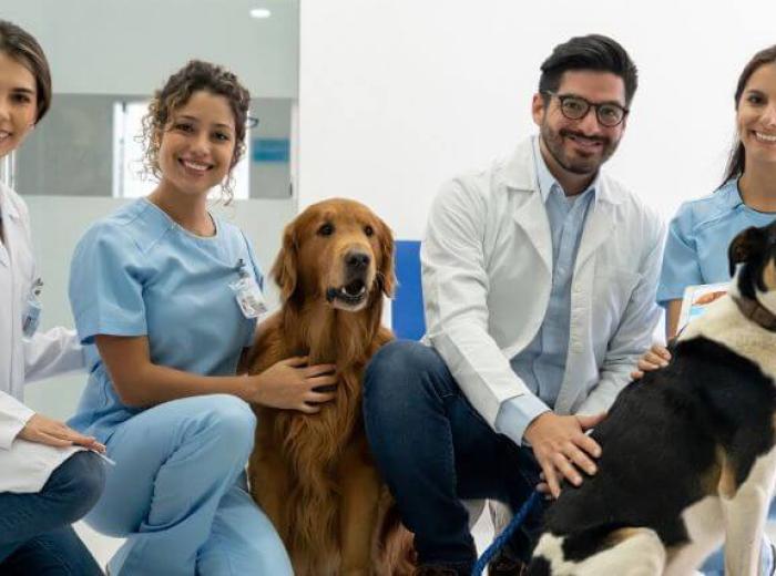 A Veterinarian's Role In The One Health Perspective