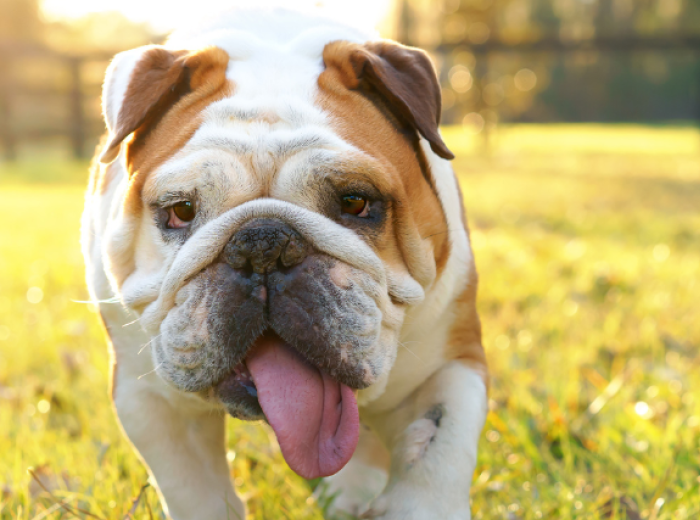 A Step-by-Step Guide to Lumps and Bumps