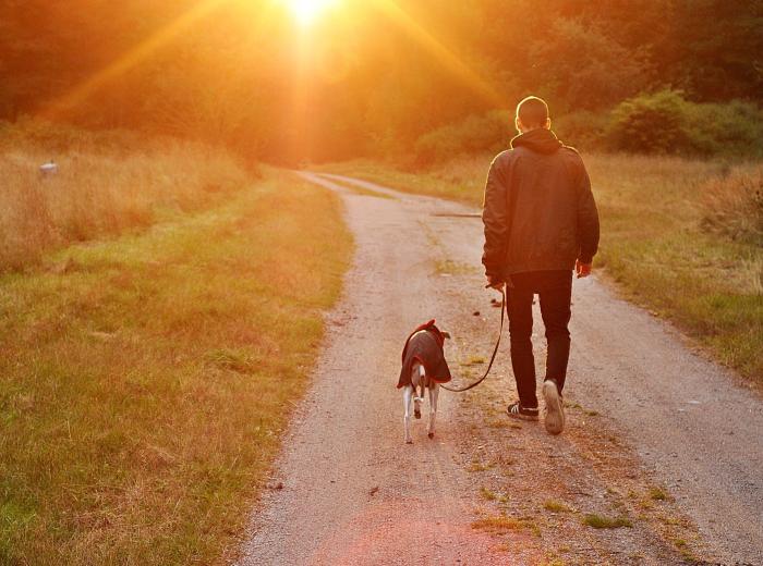 Hospice Care and Euthanasia: When It’s Time to Say Goodbye