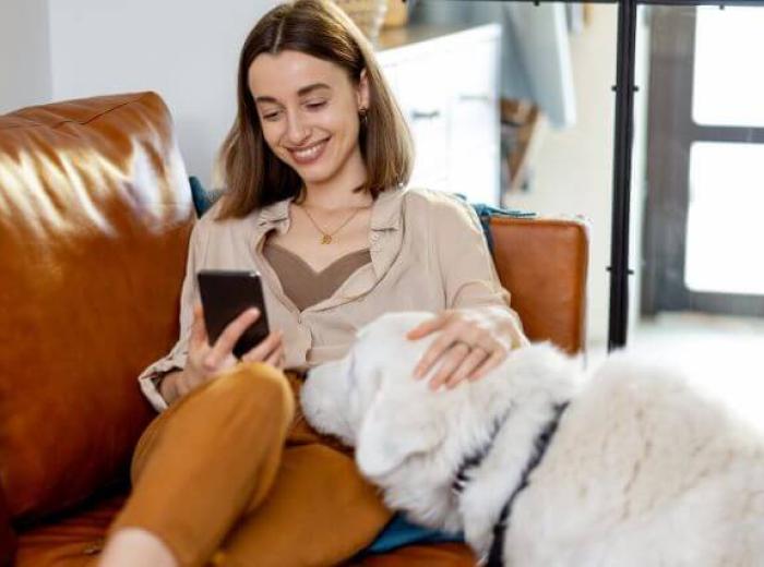 Continuous Glucose Monitoring for Diabetic Dogs with the FreeStyle Libre System