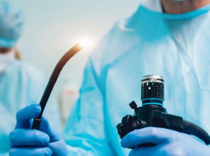 A Closer Look: Exploring Endoscopy in Dogs