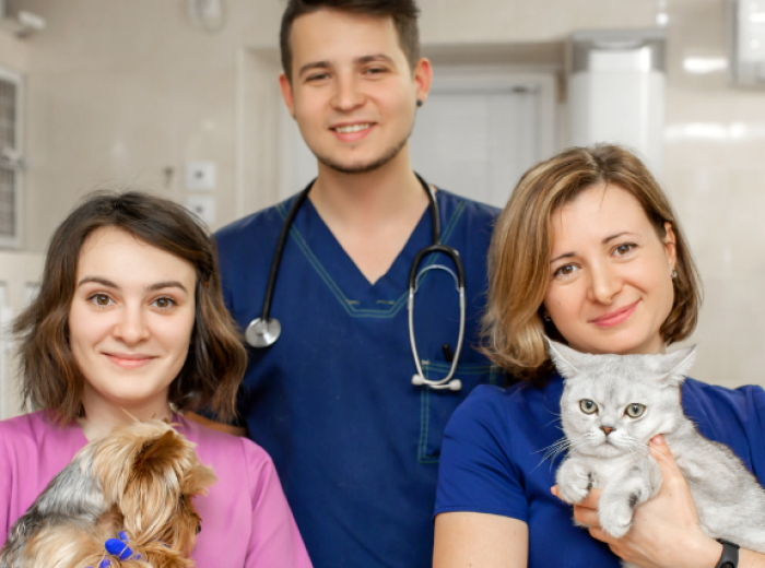 Honoring International Day of Veterinary Medicine