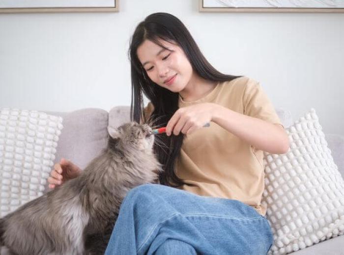 How to Tell if Your Cat Is Happy: 6 Healthy Signs to Watch For